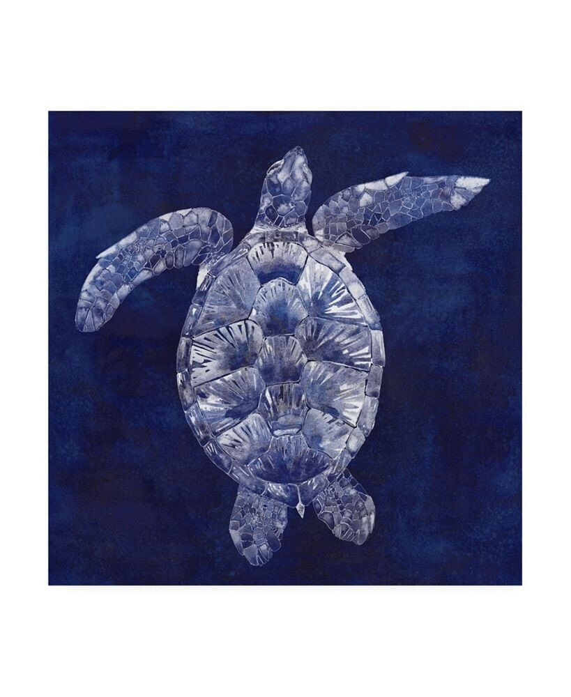 Trademark Global grace Popp Sea Turtle Shadow II Canvas Art - 20