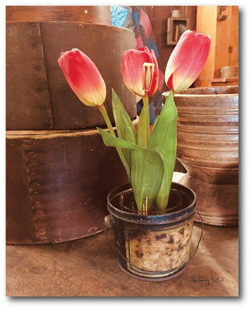 Tulip Simplicity Gallery-Wrapped Canvas Wall Art - 16