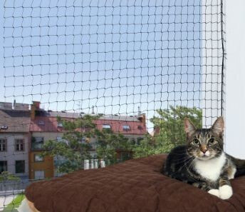 TRIXIE 44311 защитная сетка для собаки/кошки Кошка В помещении и на открытом воздухе