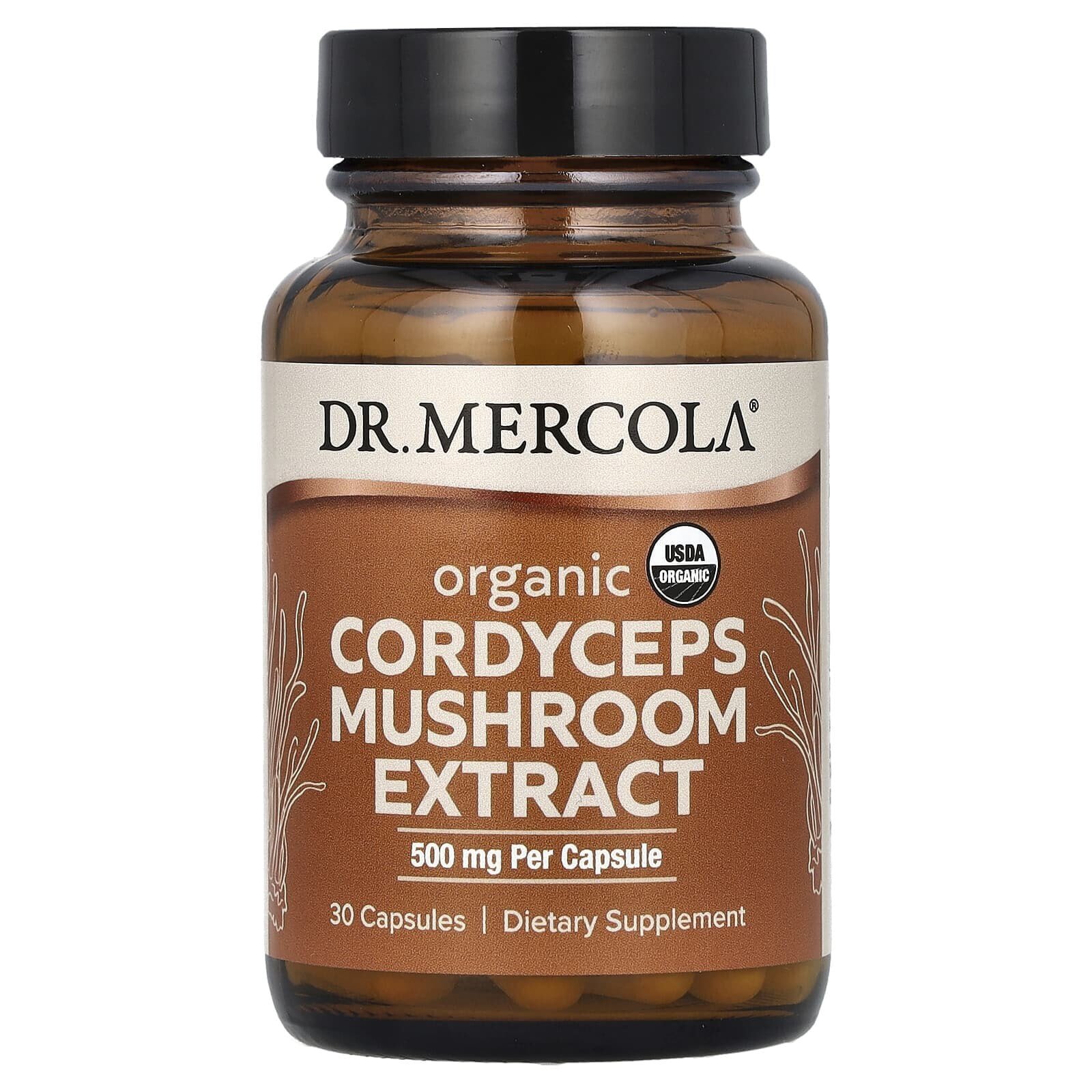 Organic Cordyceps Mushroom Extract, 500 mg, 30 Capsules