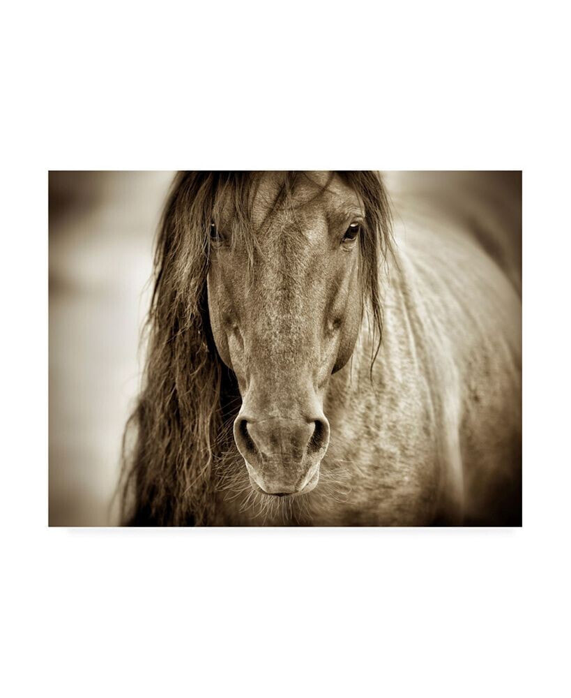 Trademark Global lisa Dearin Mustang Sally Horse Canvas Art - 15.5