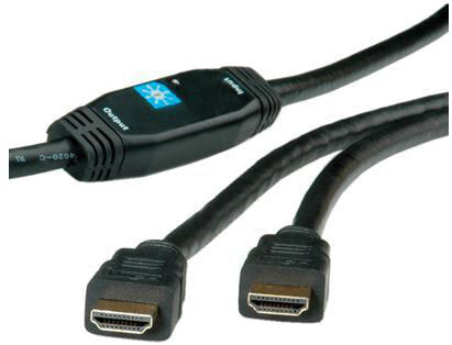 ROLINE HDMI v1.3 30.0m HDMI кабель 30 m HDMI Тип A (Стандарт) Черный 14.01.3465