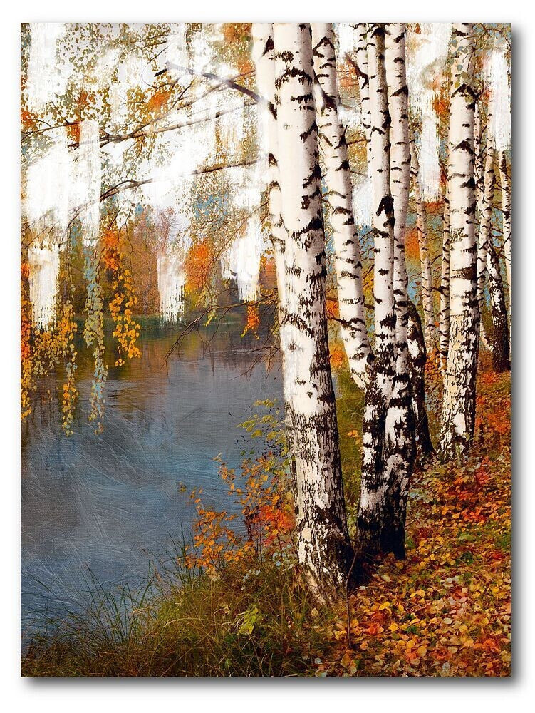 Courtside Market birch Dream Gallery-Wrapped Canvas Wall Art - 16