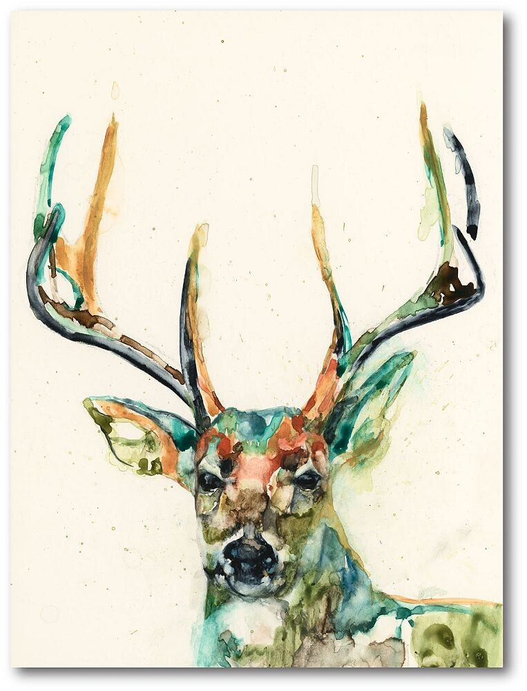 Courtside Market watercolor buck Gallery-Wrapped Canvas Wall Art - 16