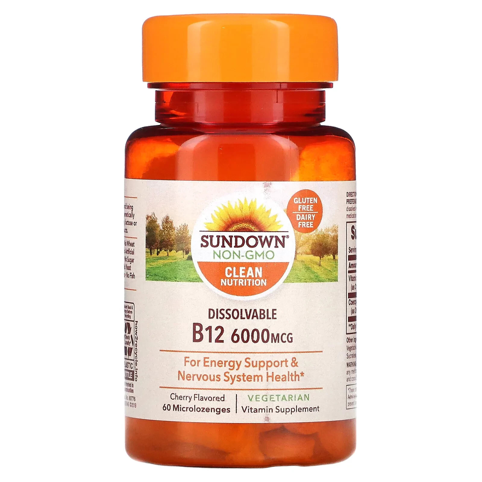 Sundown Naturals, Dissolvable B12, Cherry Flavored, 6,000 mcg, 60 Microlozenges