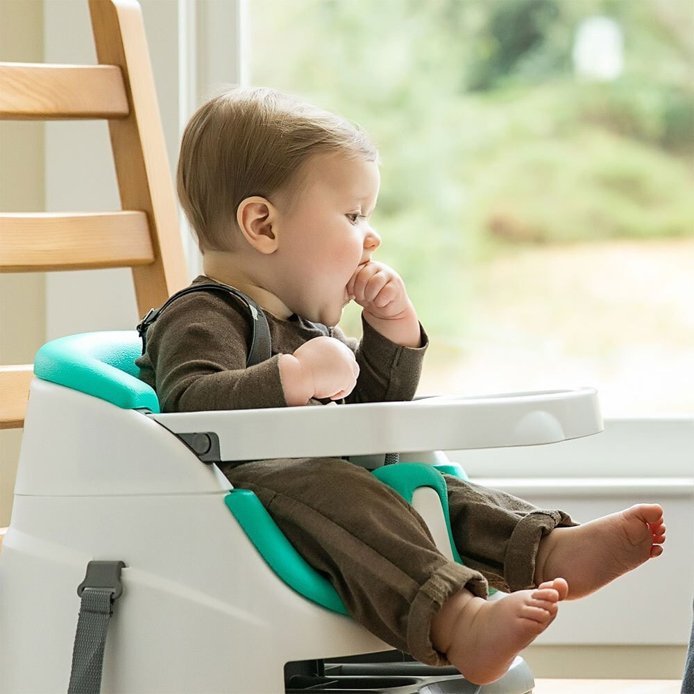 Ingenuity baby discount booster feeding seat