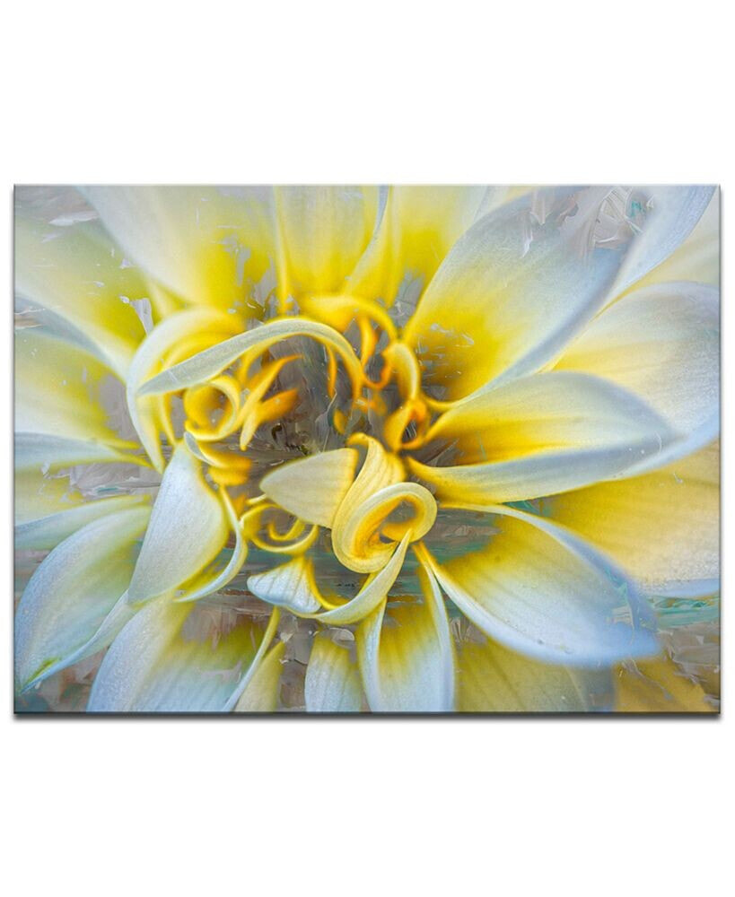 Ready2HangArt 'Painted Petals XXXVII' Canvas Wall Decor