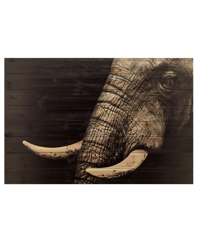 Elephant Arte de Legno Digital Print on Solid Wood Wall Art, 30
