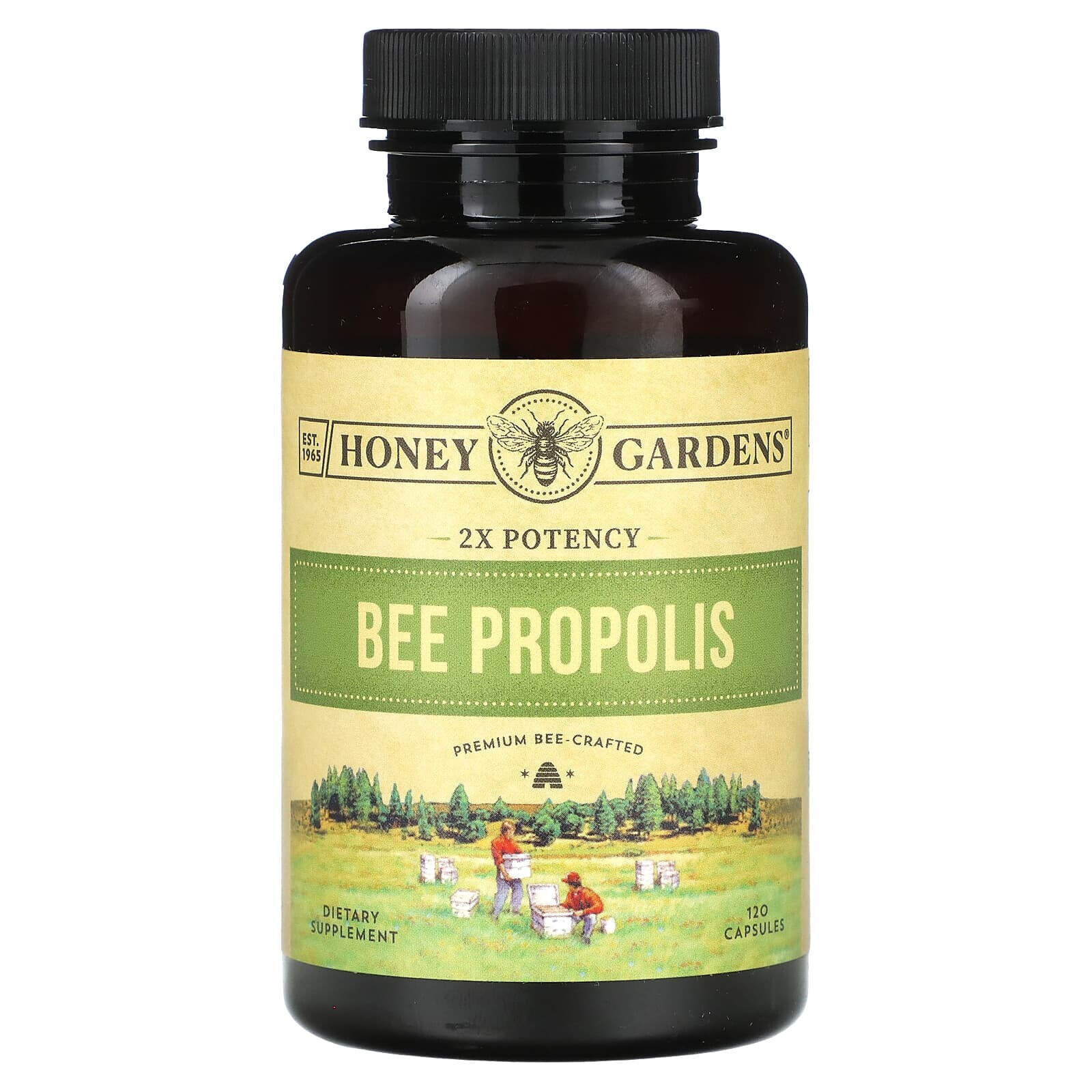 Bee Propolis, 2X Potency, 120 Capsules