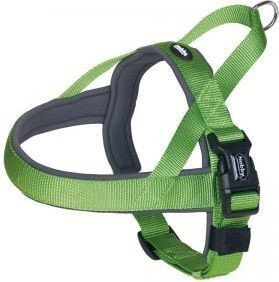 Nobby CLASSIC PRENO ML BRACES GREEN 50-64cm 20/25