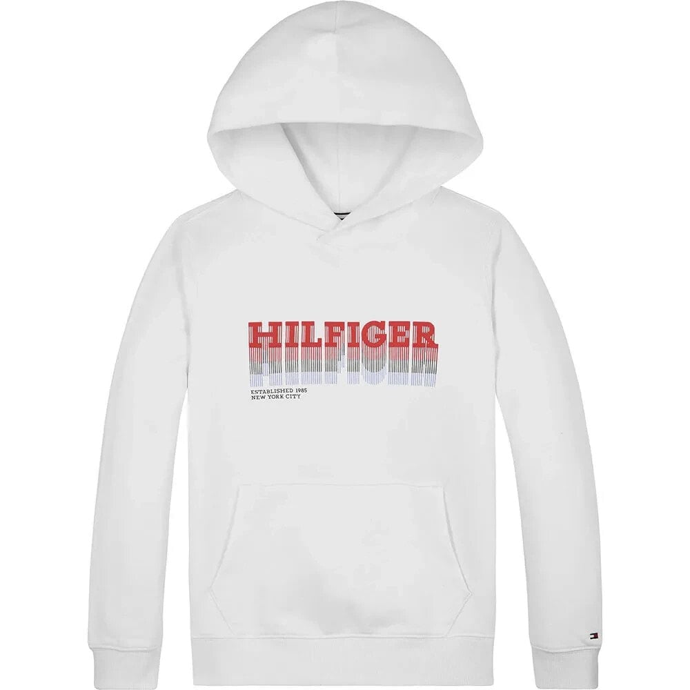 TOMMY HILFIGER Fade Hoodie