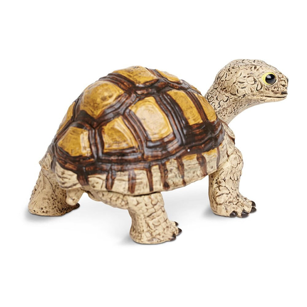 Turtle отзывы. Safari Ltd incredible creatures сухопутная черепаха 258629. Живая сухопутная черепаха. Фигурка сафари. Черепахи Сухопутные домашние большие.