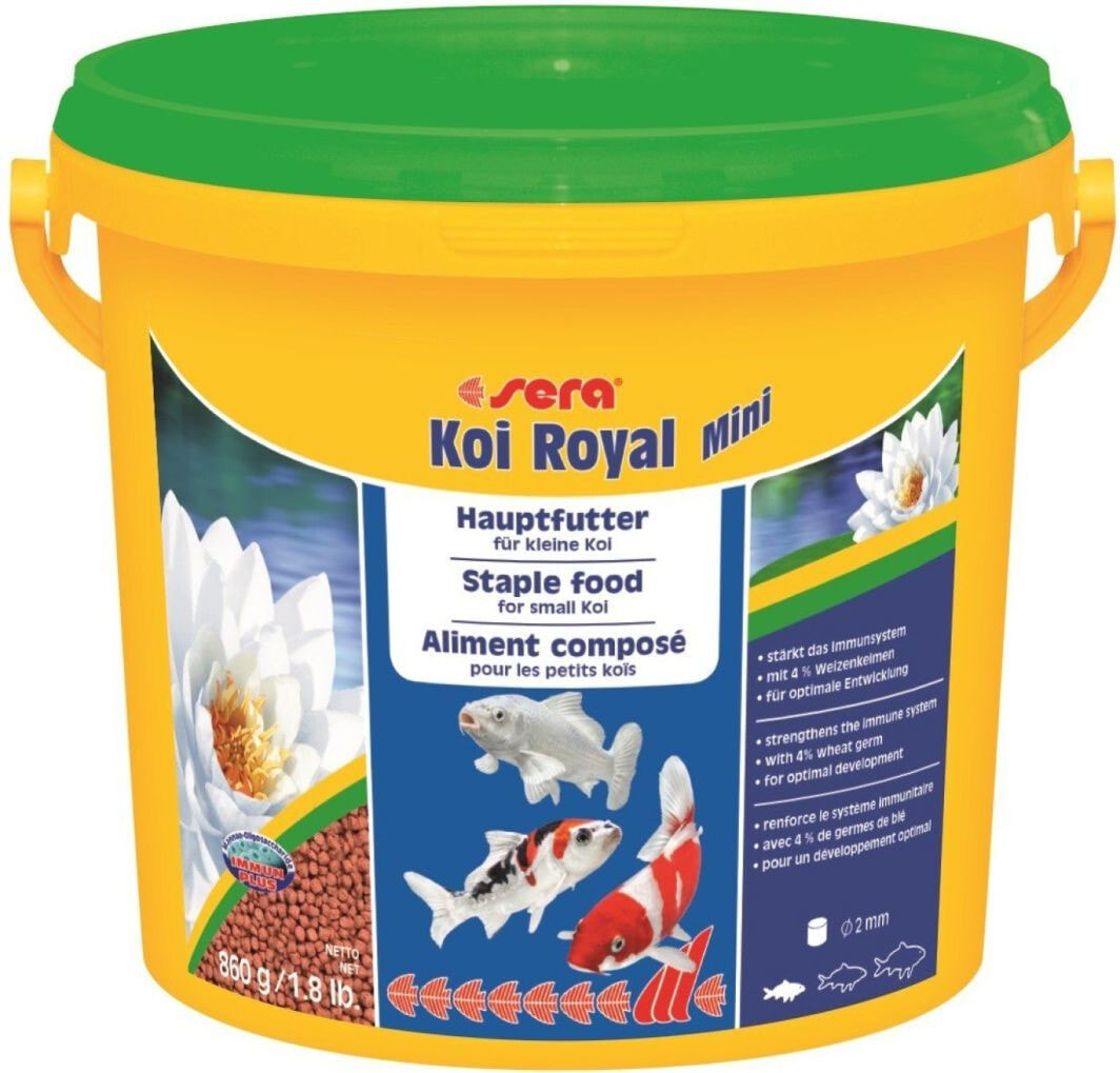 KOI ROYAL MINI BUCKET cheese 3800 ml