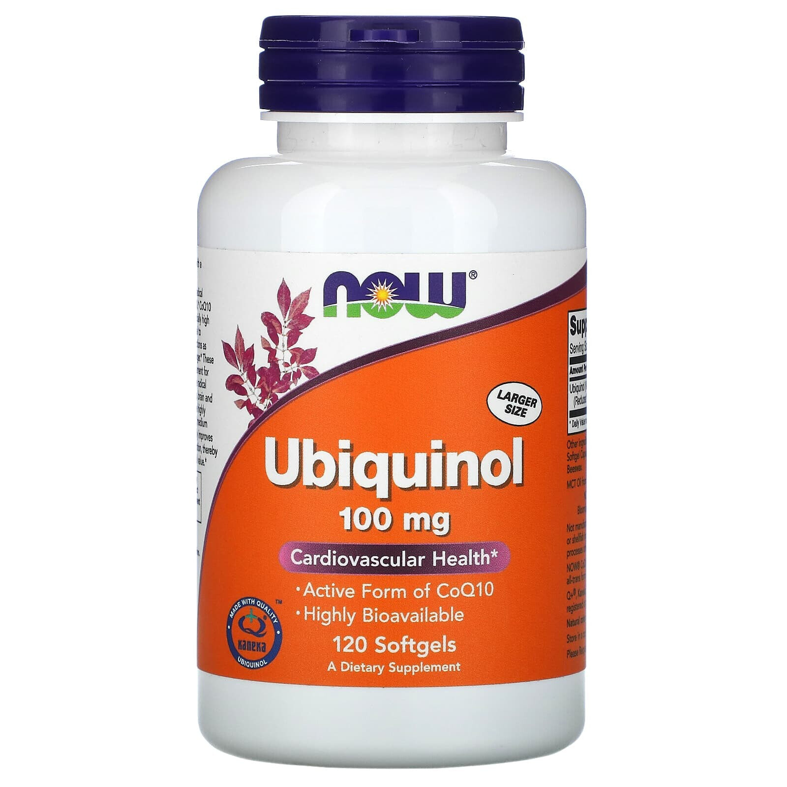 Ubiquinol, 100 mg, 60 Softgels