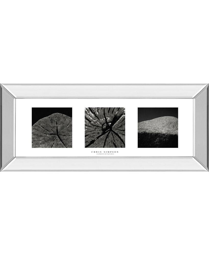 Classy Art elements of Nature 2 by Chris Simpson Mirror Framed Print Wall Art - 18