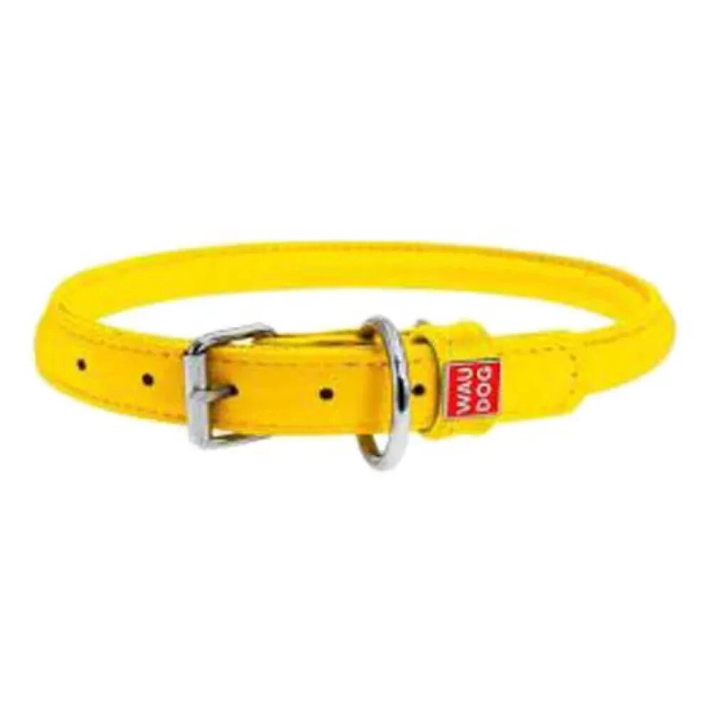 COLLAR PET Glamour collar