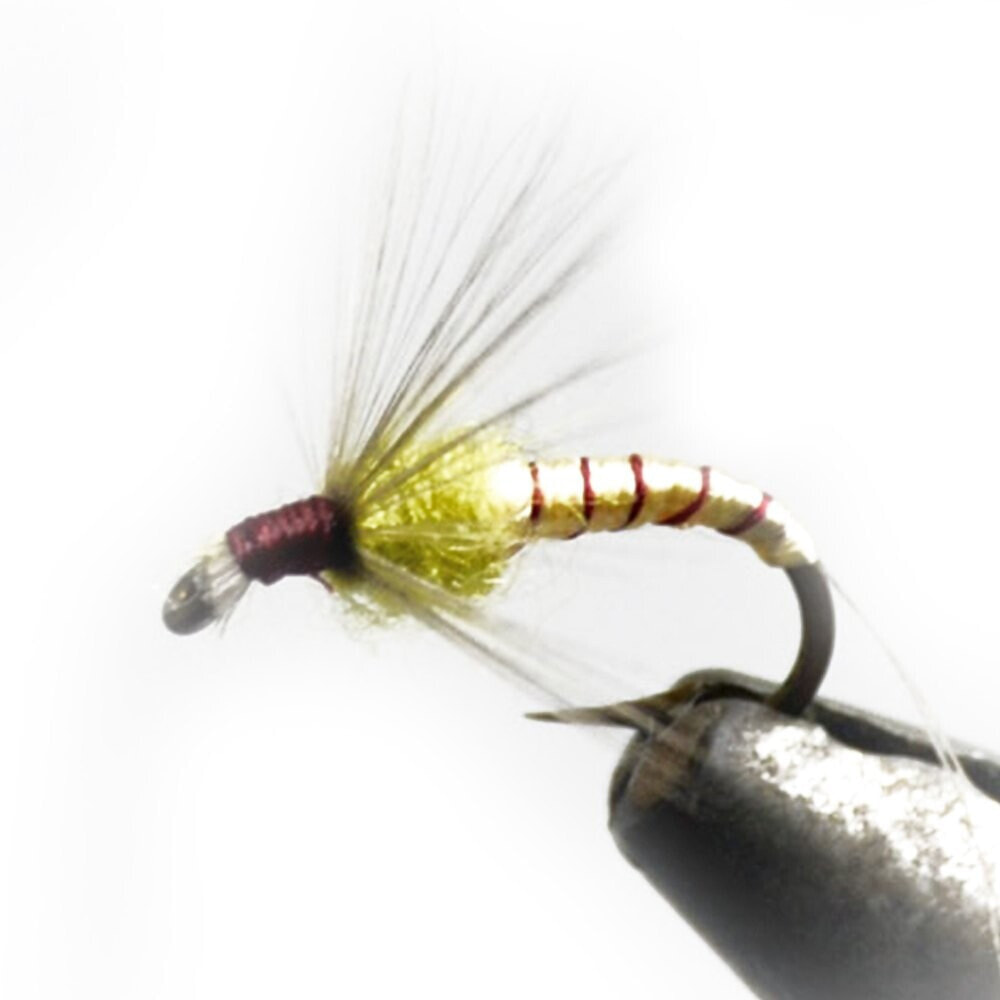 BAETIS Drowned Ring Fly