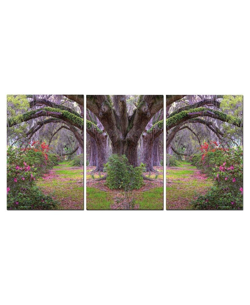 Chic Home decor Lavender Cherry 3 Piece Wrapped Canvas Wall Art Garden -20