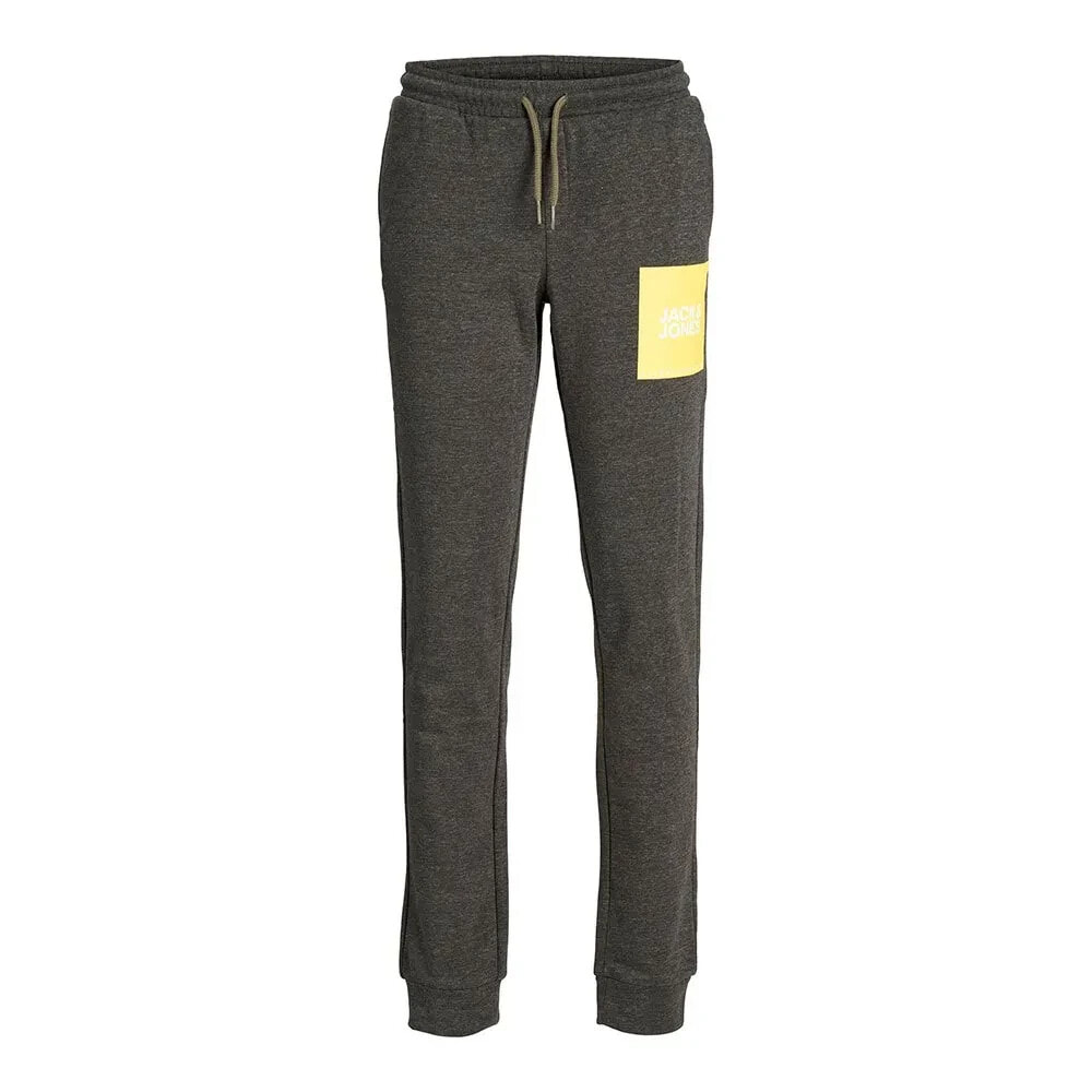 JACK & JONES Gordon Jilock Sweat Pants