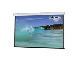 Celexon Expert 300x169 cm проекционный экран 16:9 1090197
