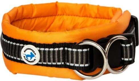 All For Dogs Orange collar for dogs, size L (30-40cm)