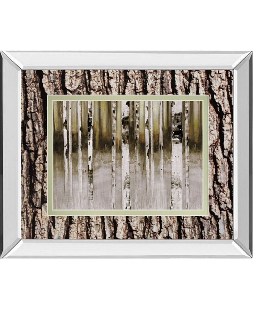 Classy Art fern Creek by Susan Jill Double Matted Mirrored Framed Wall Art - 34
