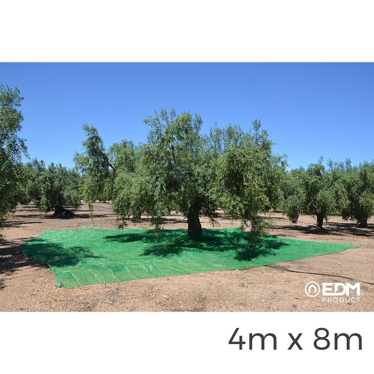 Leggings EDM Fruit collector Green polypropylene 4 x 8 m