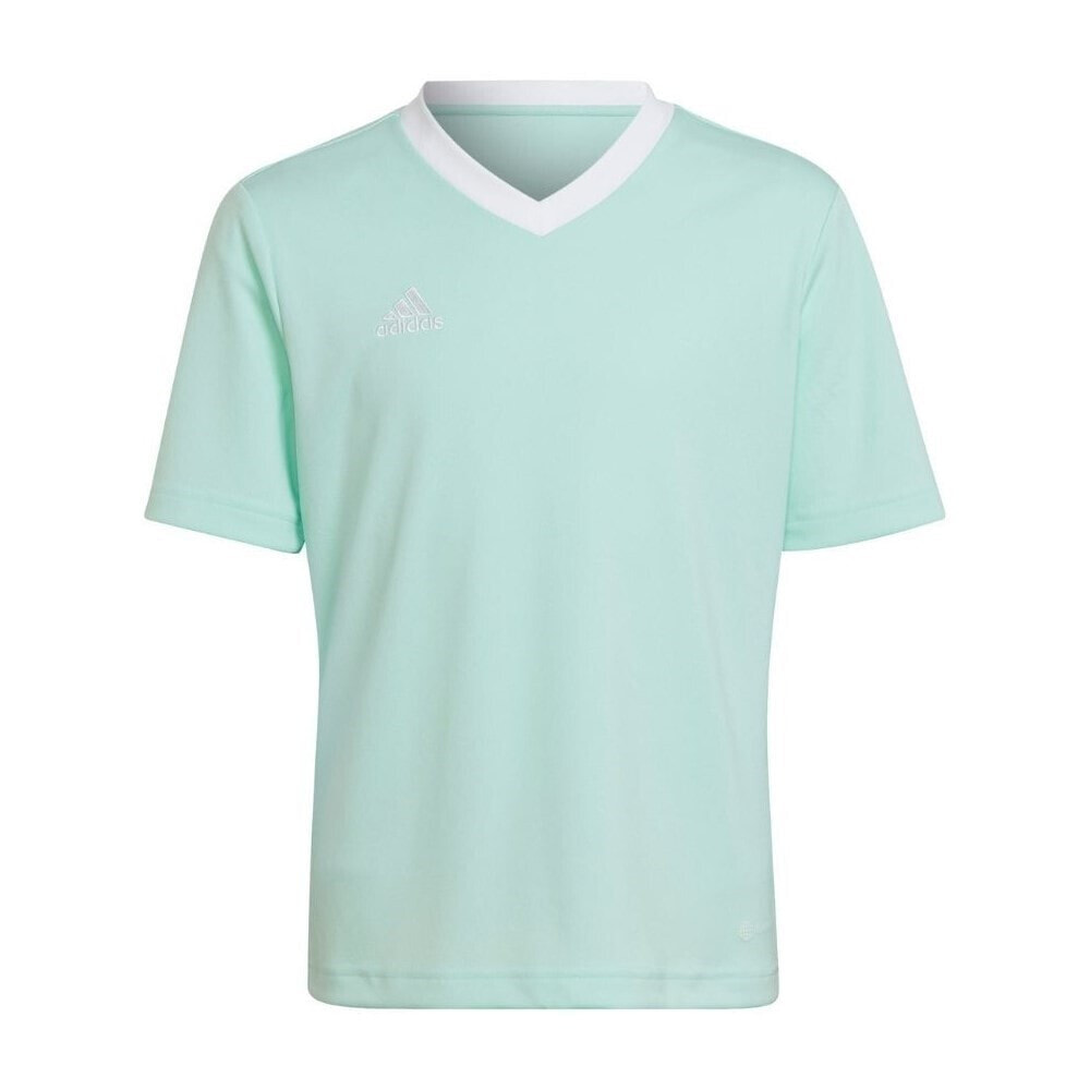 Мужская спортивная футболка голубая Adidas Entrada 22