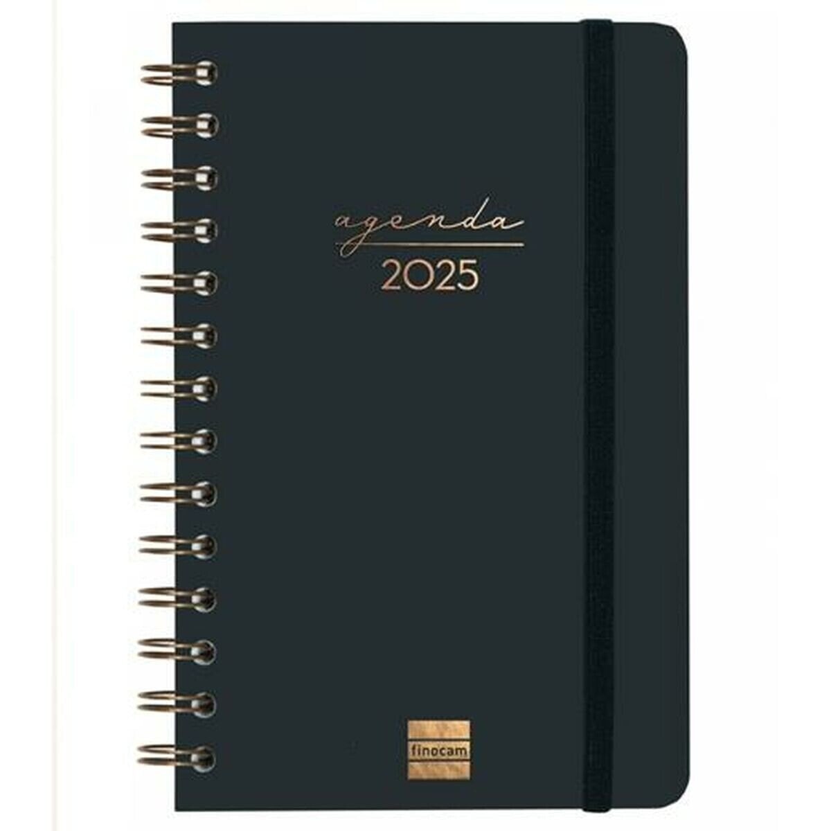 Diary Finocam ALMA Black 11,7 x 18,1 cm 2025