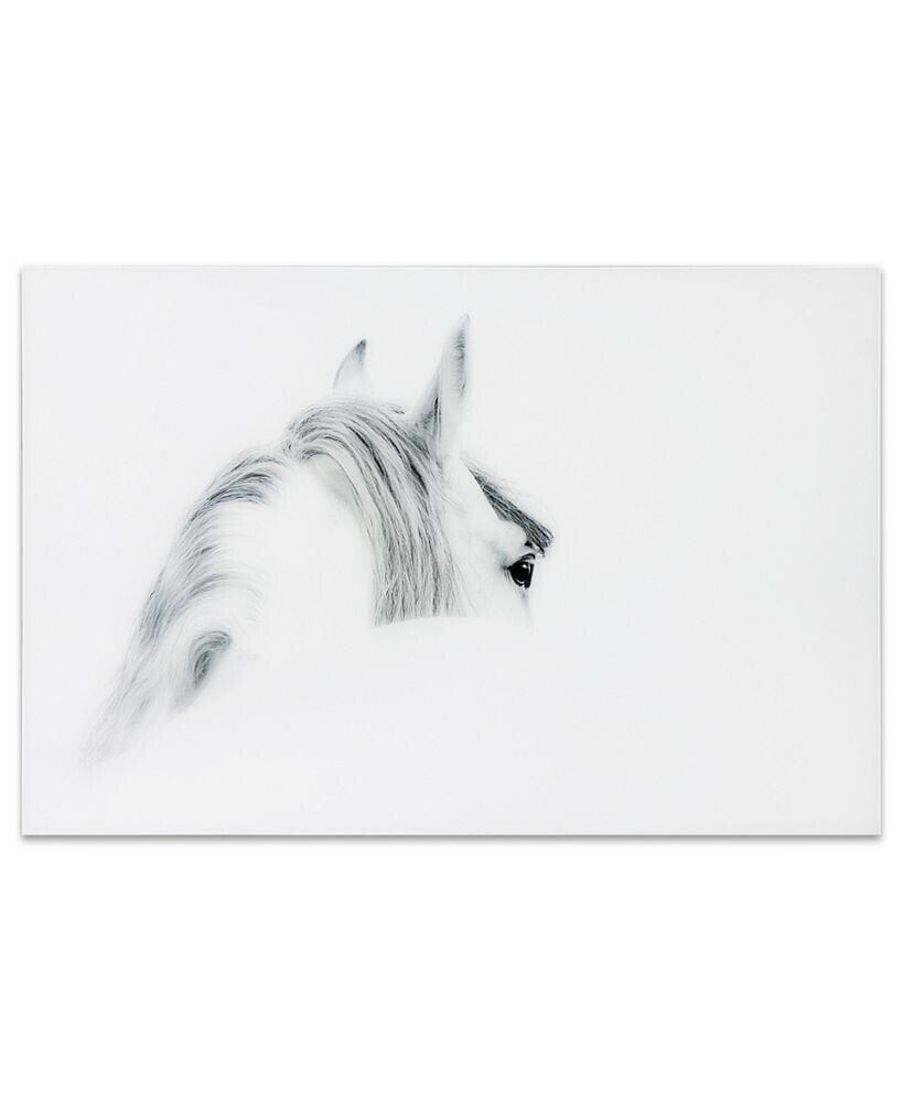'Blanco Mare Horse' Frameless Free Floating Tempered Glass Panel Graphic Wall Art - 48