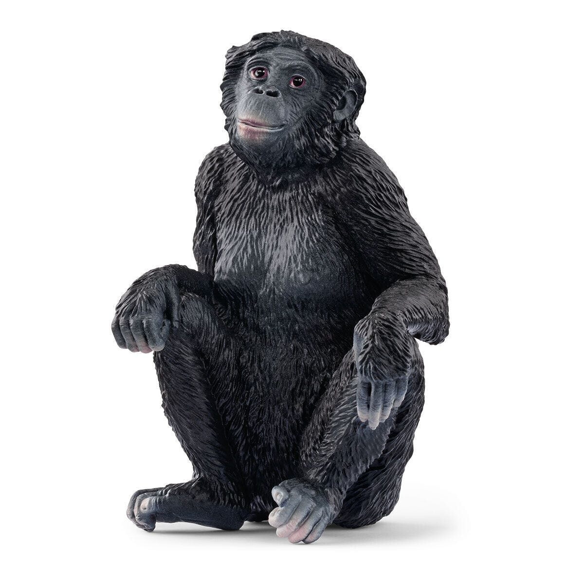 Schleich Wild Life Bonobo Weibchen Schleich купить от 686 рублей в  интернет-магазине MALL | Животные, птицы, рыбы и рептилии Schleich