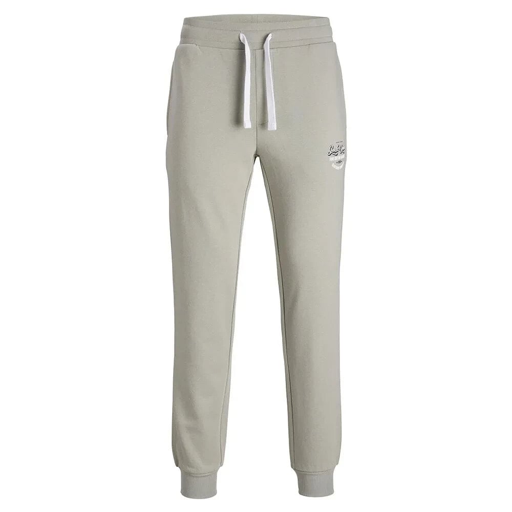 JACK & JONES Gordon Sweat Pants