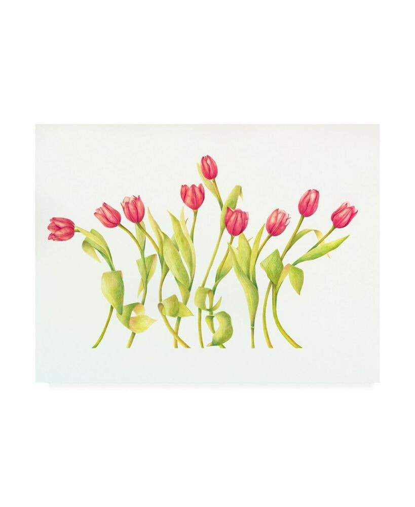 Trademark Global deborah Kopka Nine Tulips Twirling Canvas Art - 27