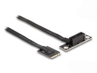 Delock M.2 Key A+E zu PCIe x1 NVMe Adapter gewinkelt mit 20 cm Kabel - Adapter - Digital/Display/Video