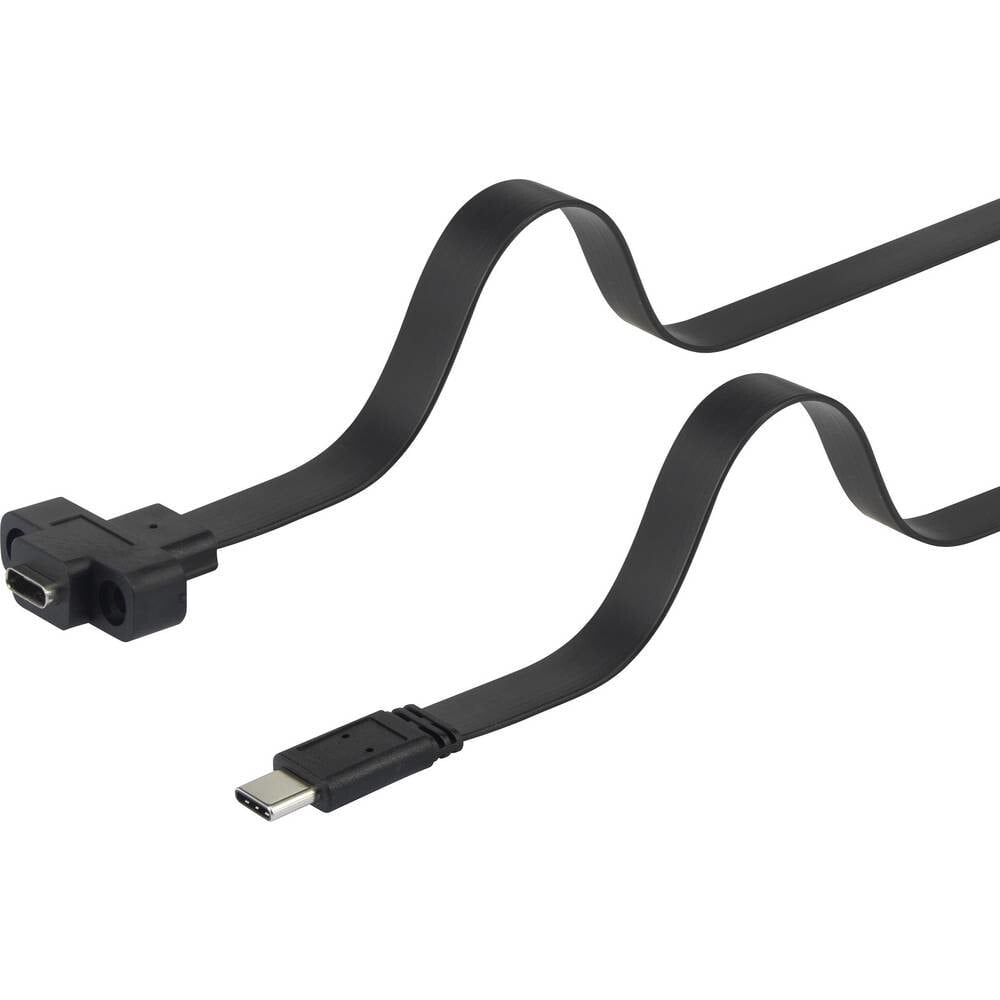 Renkforce RF-3415030 USB кабель 0,25 m 3.2 Gen 1 (3.1 Gen 1) USB C Черный