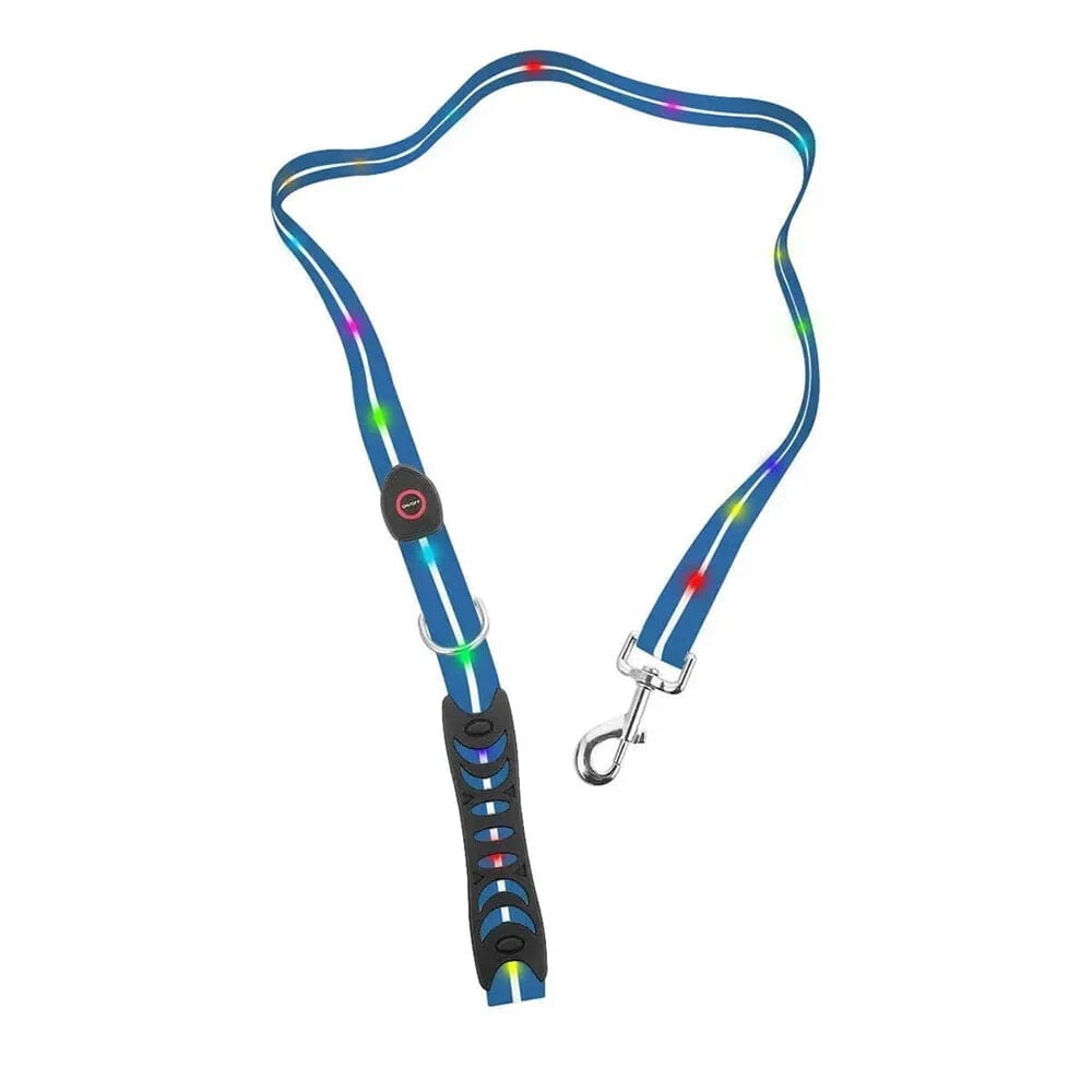 DOGGY VILLAGE MT7118 dog leash 1.2 m