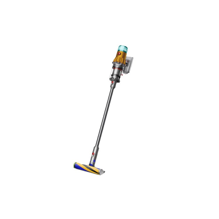 Dyson Dust Collector V12 Detect Slim Absolute