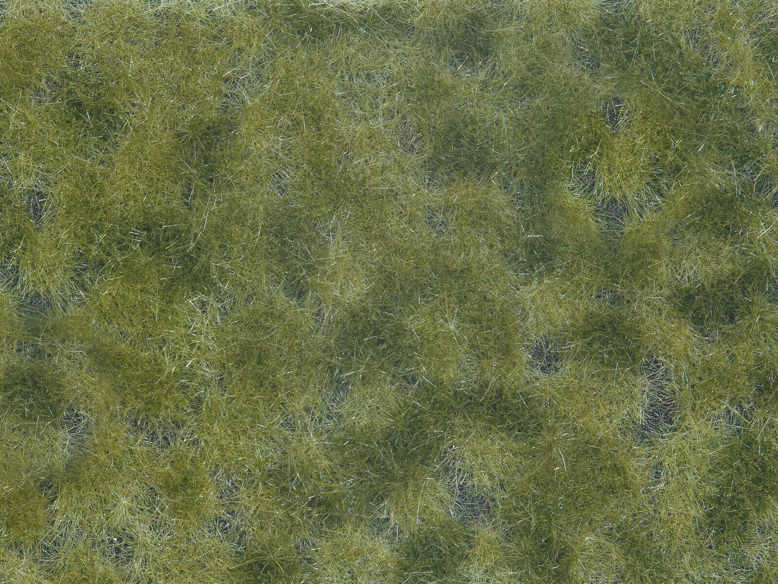 NOCH Groundcover Foliage - Medium Green - Green