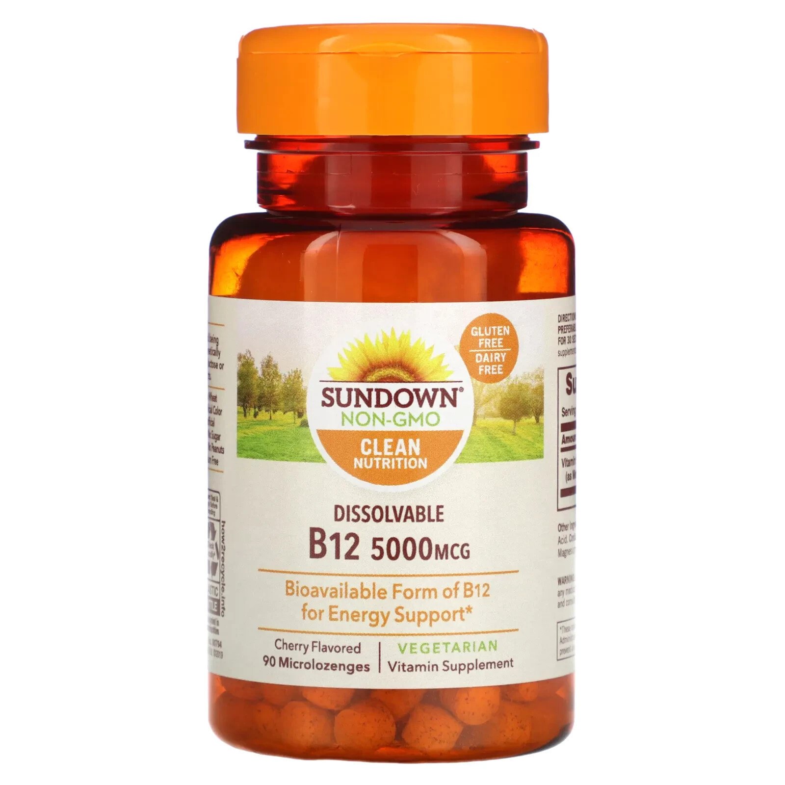 Dissovable B12, Cherry, 5,000 mcg, 90 Microlozenges