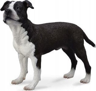 Figurka Collecta PIES AMERICAN STAFFORDSHIRE TERRIER