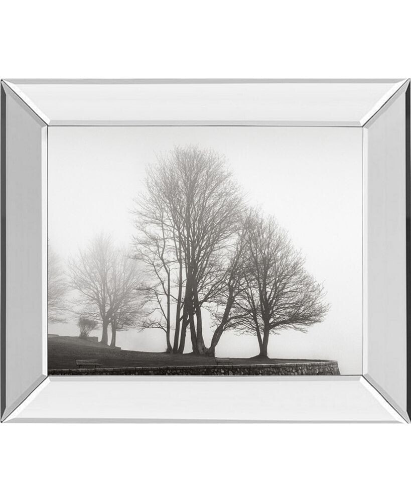 Classy Art fog and Trees at Dusk by Lsh Mirror Framed Print Wall Art, 22