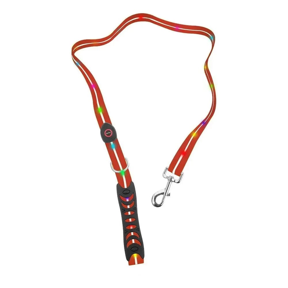 DOGGY VILLAGE MT7120 LED dog leash 1.2m