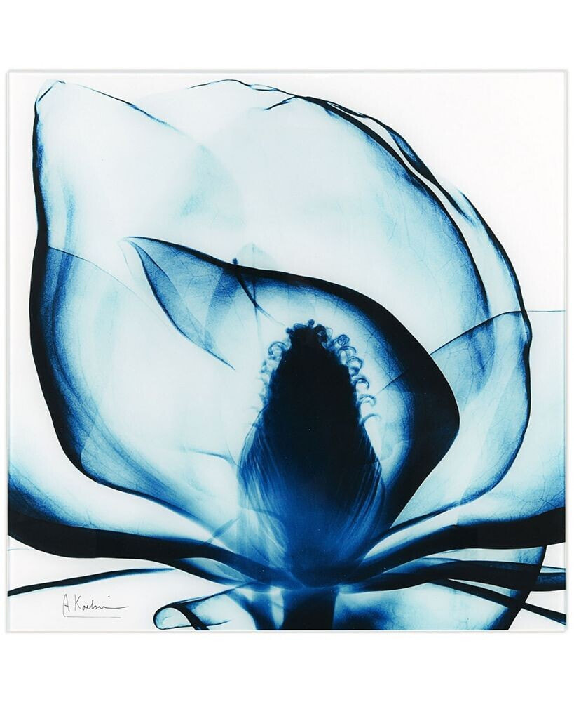Empire Art Direct blue Magnolia x-ray Frameless Free Floating Tempered Glass Panel Graphic Wall Art, 24