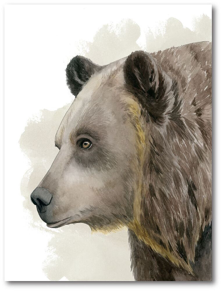 Courtside Market brown bear Gallery-Wrapped Canvas Wall Art - 18