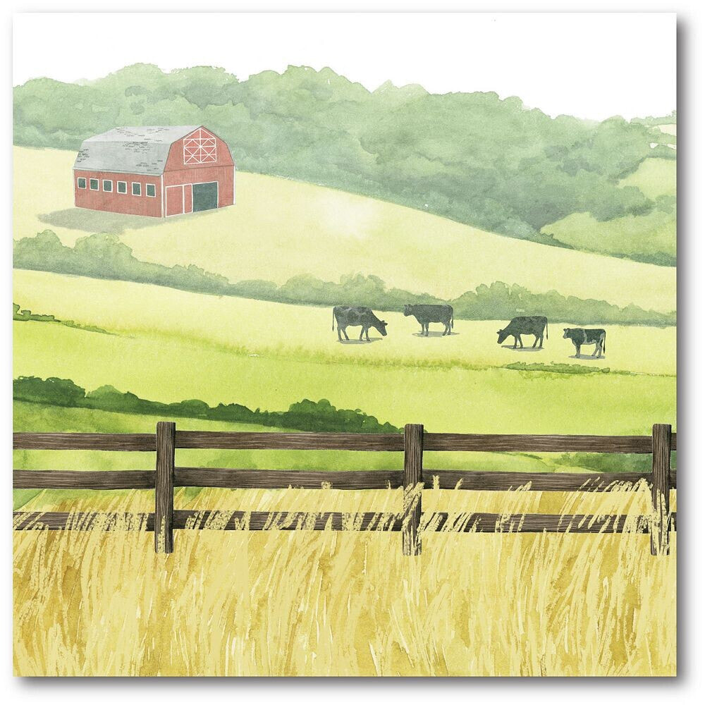 Courtside Market sunlit Graze I Gallery-Wrapped Canvas Wall Art - 20