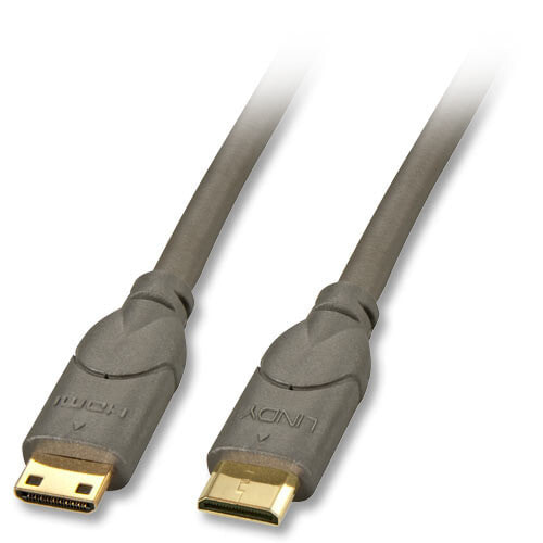 Lindy 0.5m HDMI CAT2 HDMI кабель 0,5 m HDMI Type C (Mini) Черный 41040