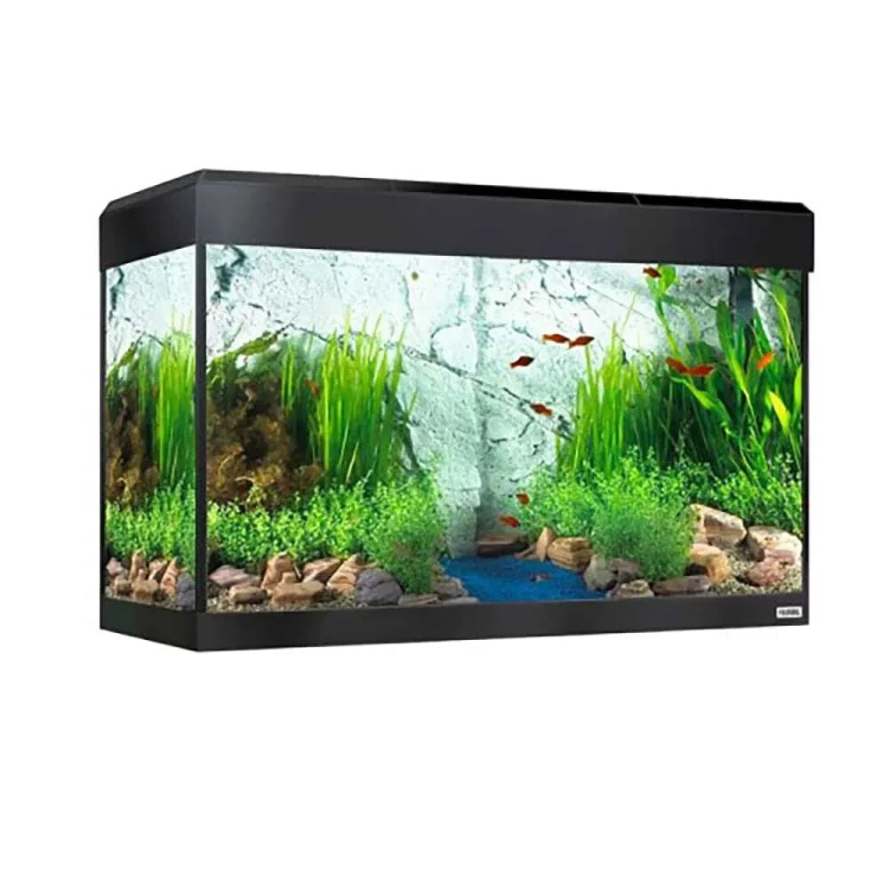 FLUVAL Roma LED Bluetooth 125L aquarium