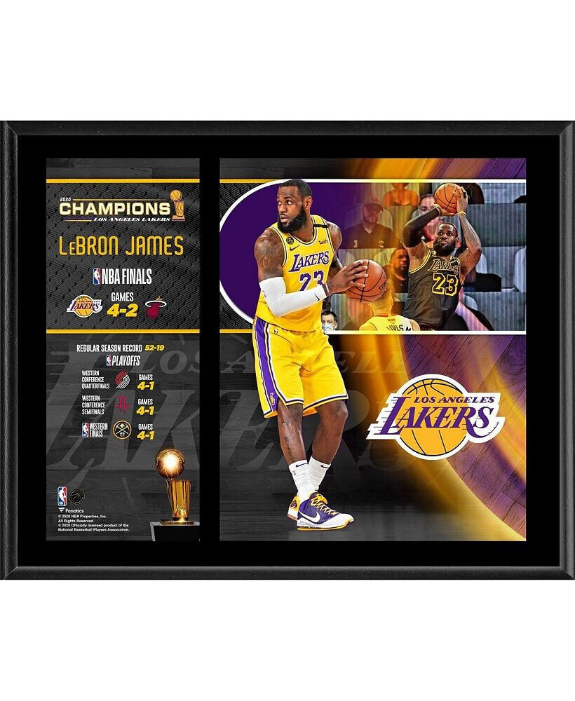 Fanatics Authentic leBron James Los Angeles Lakers 12