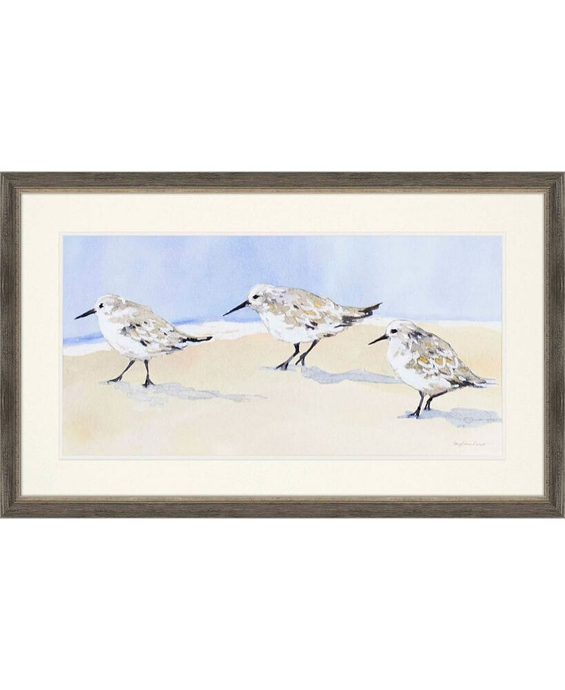 Paragon Picture Gallery paragon Sandpipers I Framed Wall Art, 25