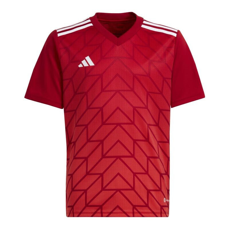 adidas Team Icon 23 Jr HR2652 T-shirt